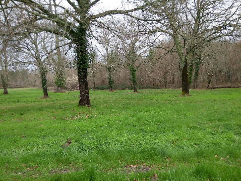 Image du modèle de maison 2230559-1072annonce120250715dp3HH.jpeg
