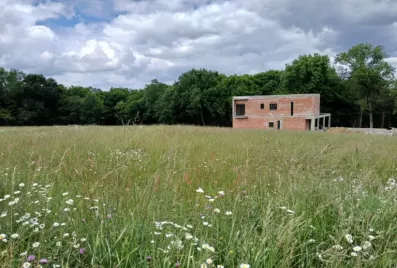 Image du modèle de maison 2230813-11193annonce120250722JGoOb.jpeg