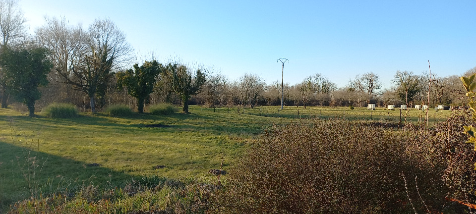 Image du terrain Terrain à bâtir à Ménesplet (24700)