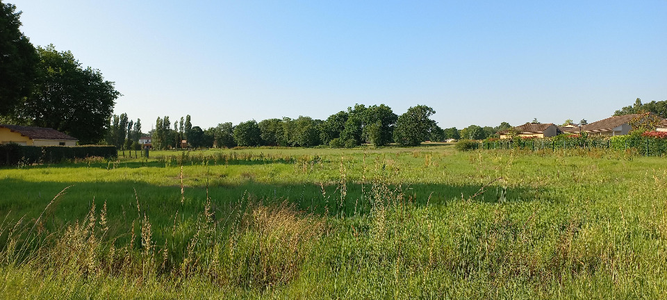 Image du terrain Terrain à bâtir à Montpon-Ménestérol (24700)