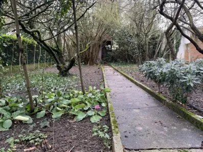 Image du modèle de maison TERRAIN.FM