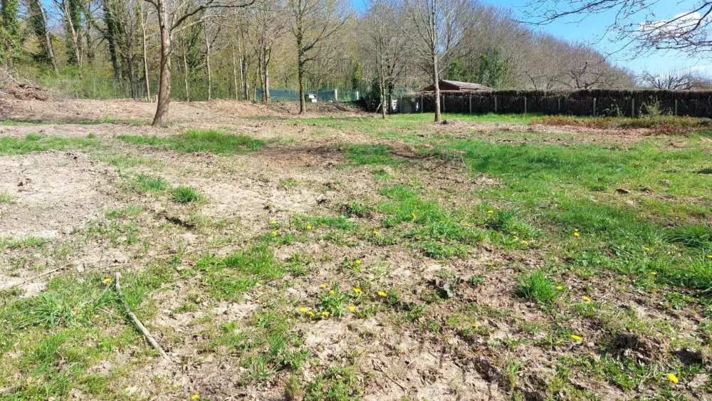 Image du modèle de maison Photo terrain 1