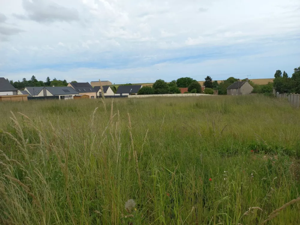 Image du modèle de maison 20240618_185311