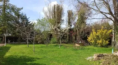 Image du modèle de maison Photo