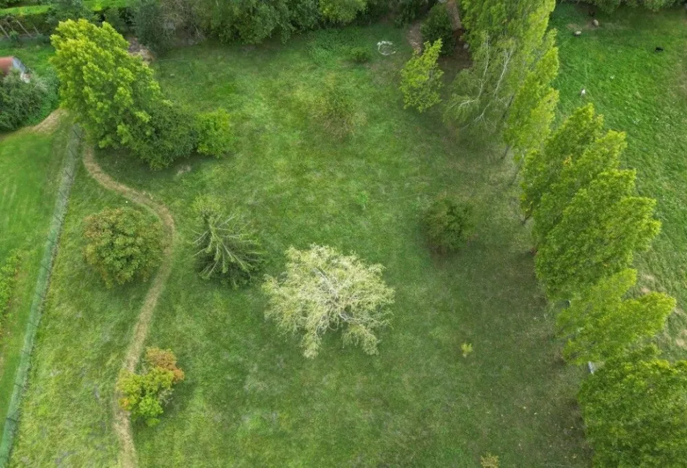 Image du modèle de maison Photo terrain