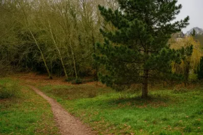 Image du modèle de maison 6A182881-3B8D-4846-BA24-B090879721B4