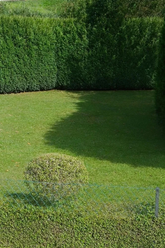 Image du modèle de maison 7D88E90D-9F08-43FC-A94B-DFB801F30F13