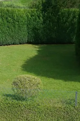 Image du modèle de maison 7D88E90D-9F08-43FC-A94B-DFB801F30F13