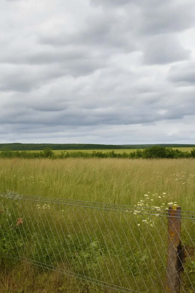 Image du terrain Terrain à bâtir de 400 m² à COLTAINVILLE (28)