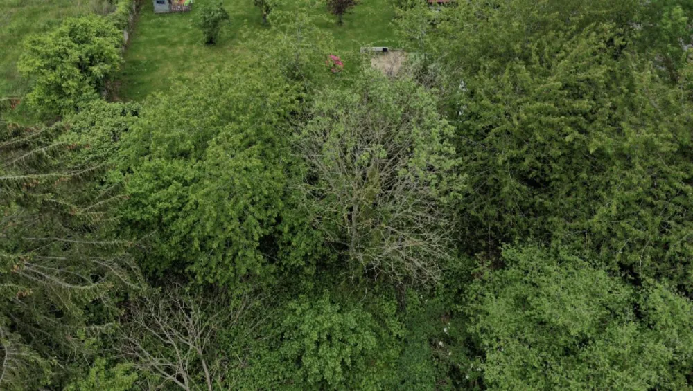 Image du modèle de maison Capture d’écran 2026-01-28 à 12.23.45