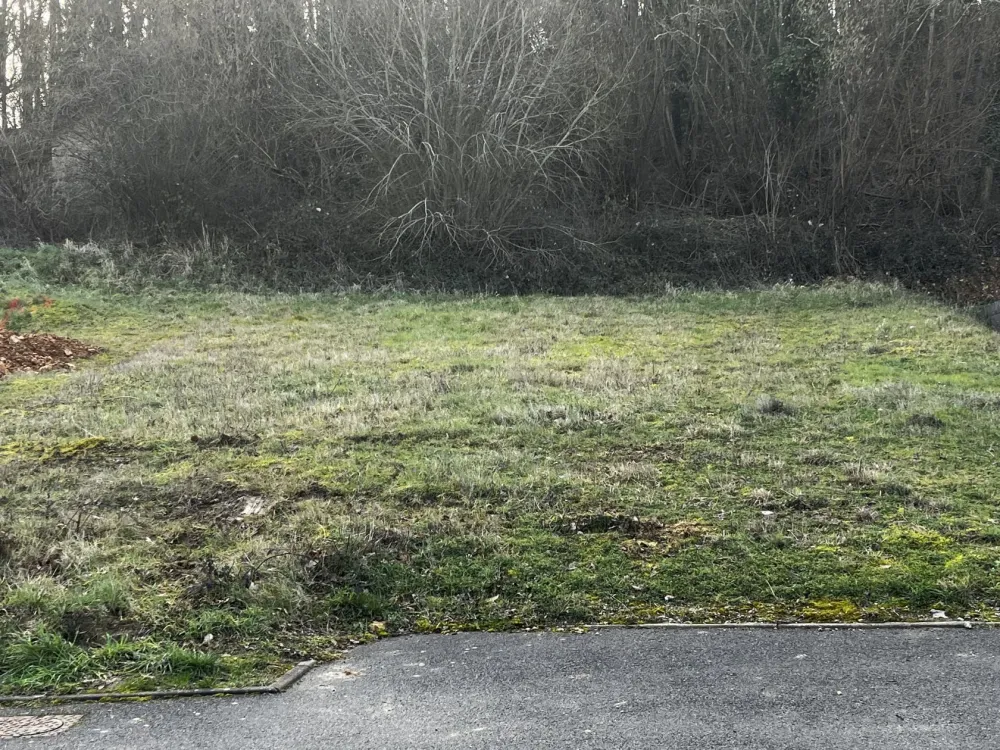 Image du modèle de maison IMG_4311