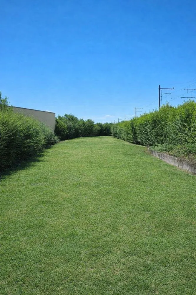 Image du terrain Terrain à bâtir de 500 m² à LA LOUPE (28)