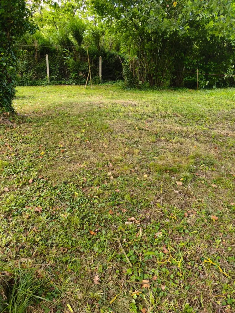 Image du modèle de maison photo 1