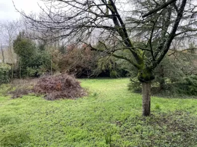 Image du modèle de maison PHOTO TERRAIN ETIOLLES ( 2 )