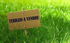 Image du terrain Terrain à bâtir de 522 m² à DAMMARTIN-EN-SERVE (78)