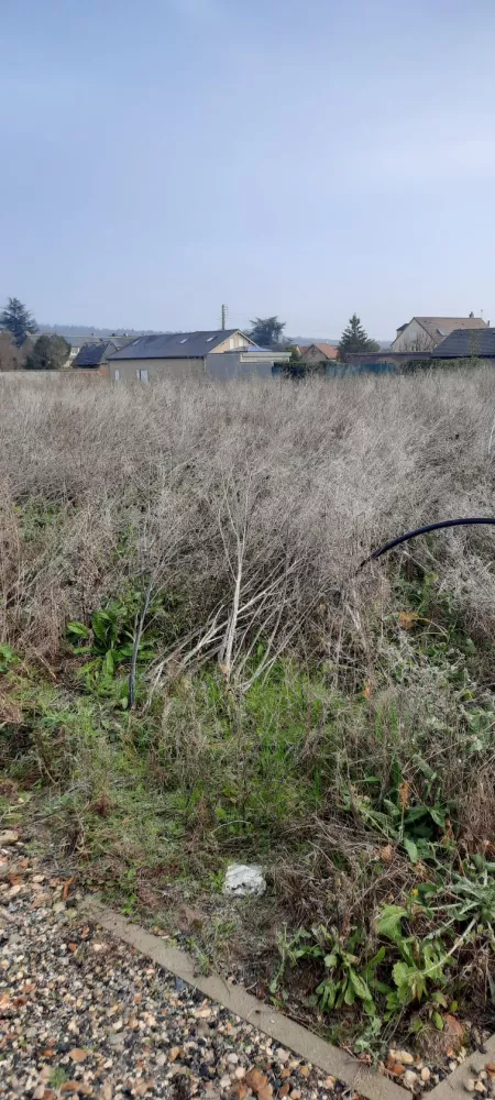 Image du modèle de maison 5
