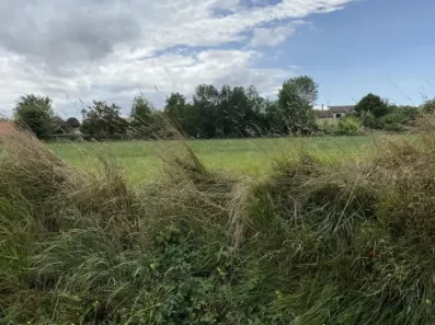 Image du modèle de maison Point Belle depuis rue de la Prairie