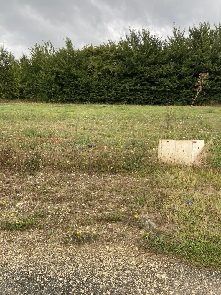 Image du terrain Terrain de 491 m² à CELLES-SUR-BELLE