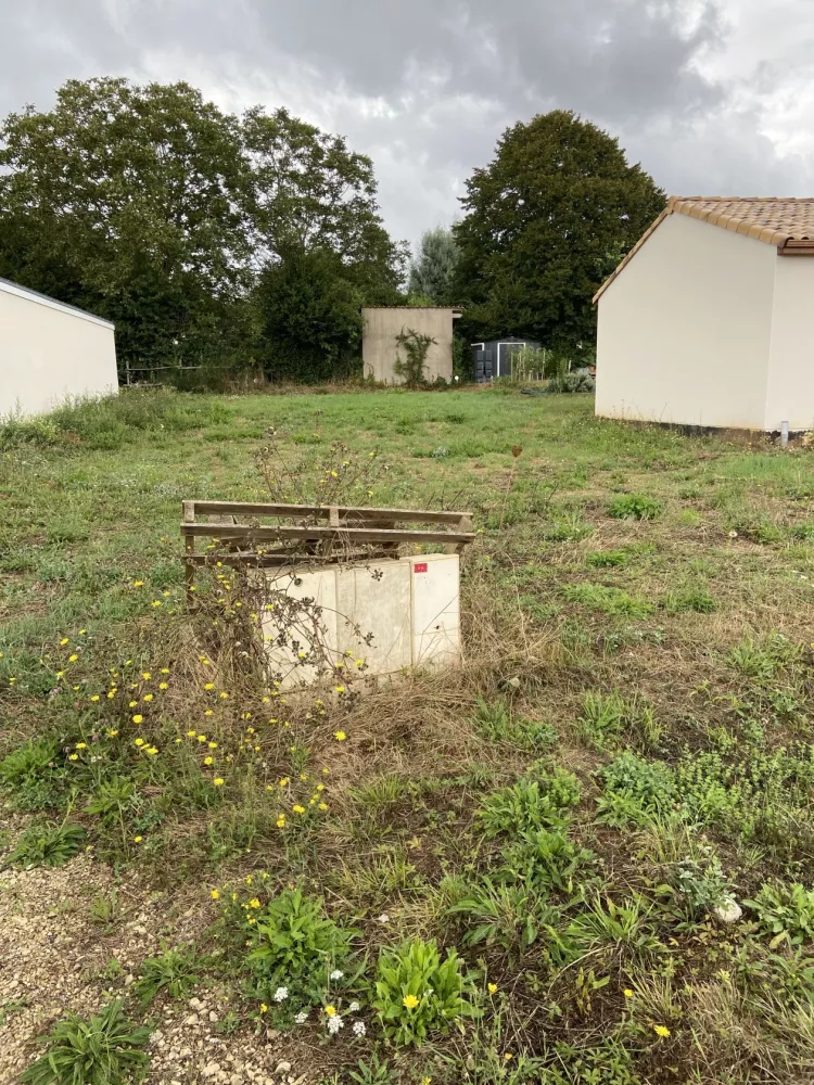 Image du terrain Terrain de 441 m² à CELLES-SUR-BELLE