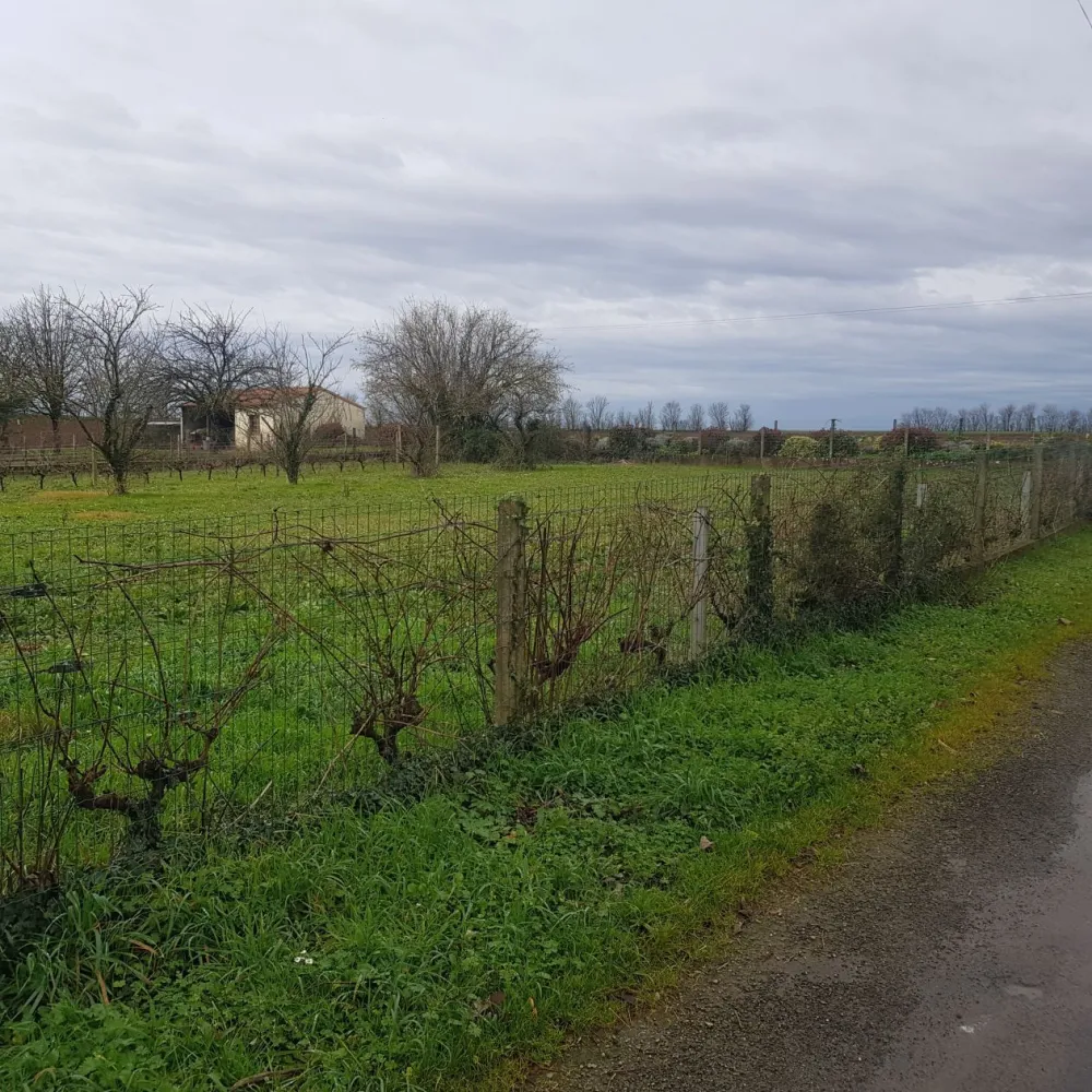 Image du modèle de maison 20250108_114355