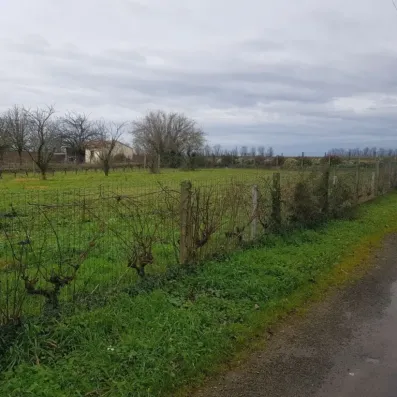 Image du modèle de maison 20250108_114355