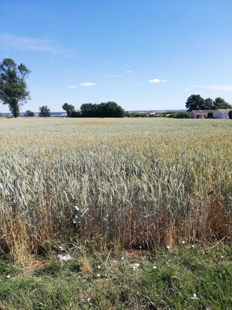 Image du modèle de maison Les Champs du Roc photo