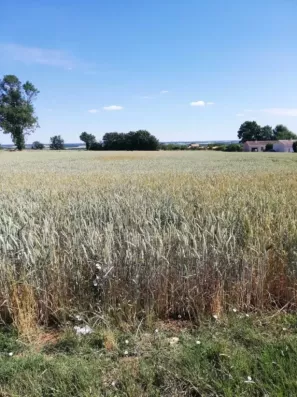Image du modèle de maison Les Champs du Roc photo