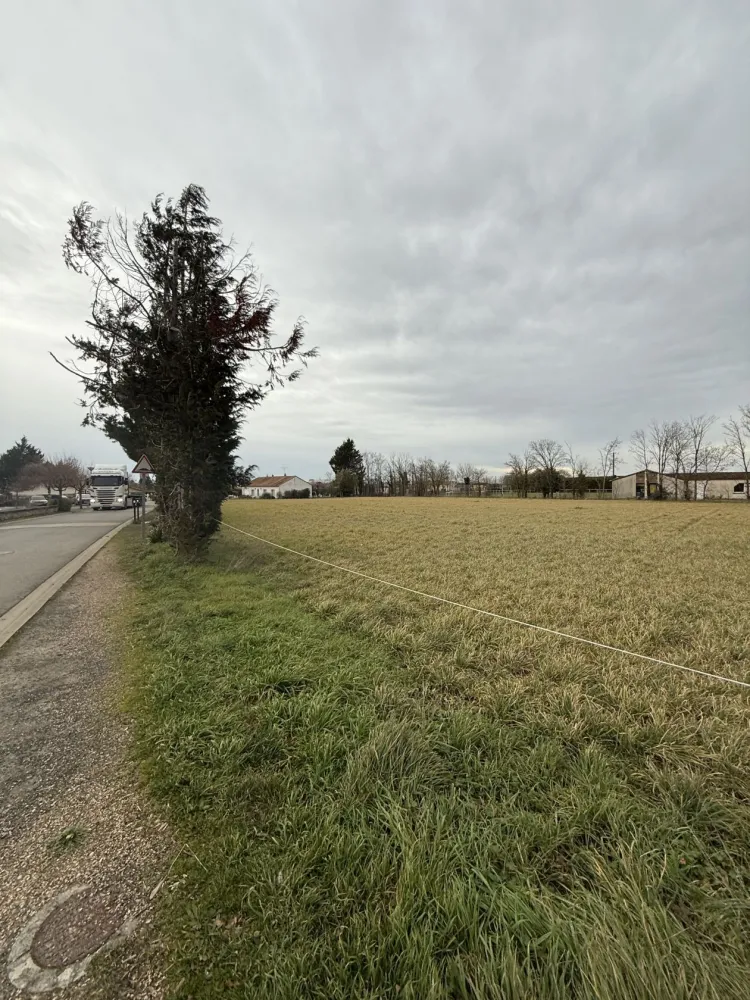 Image du modèle de maison IMG_2596