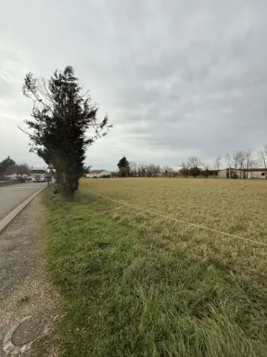 Image du modèle de maison IMG_2596