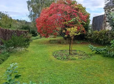 Image du modèle de maison CAUVIGNY PHOTO 2   567 M² 