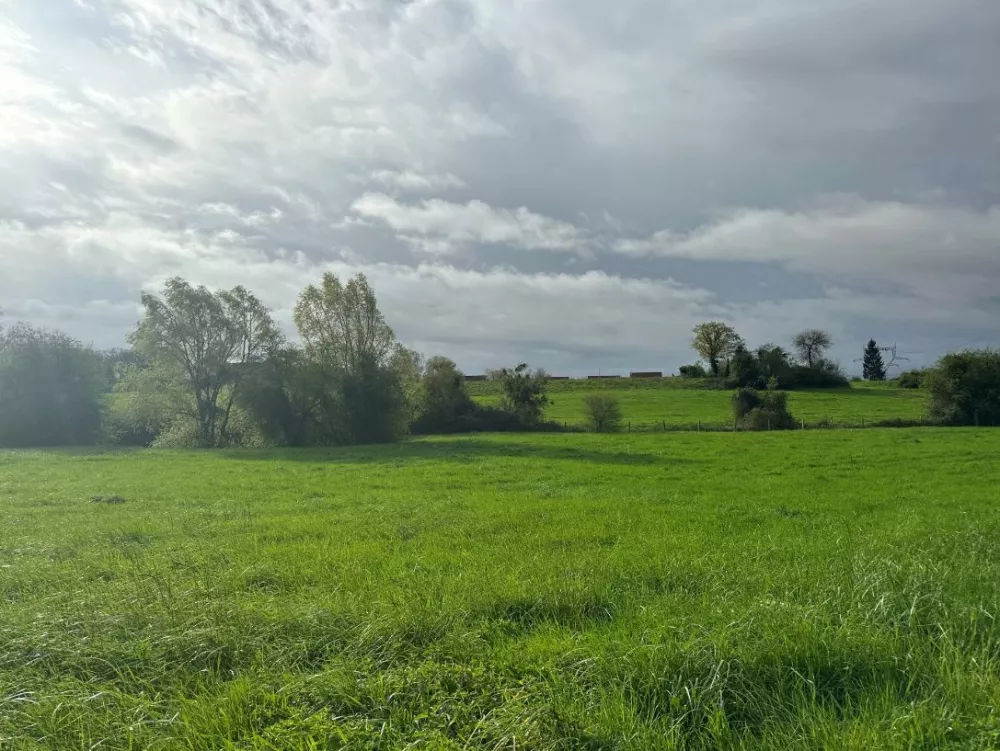 Image du modèle de maison Capture d'écran 2024-06-27 104954.png1