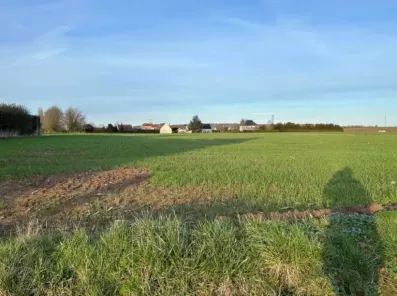 Image du modèle de maison Capture d'écran 2024-07-01 095419.png1