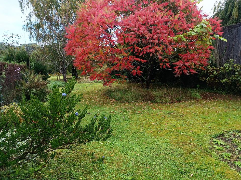 Image du modèle de maison CAUVIGNY 567 M²