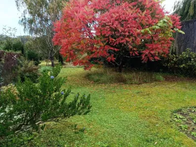 Image du modèle de maison CAUVIGNY 567 M²