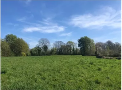 Image du modèle de maison Capture d'écran 2025-09-12 102905