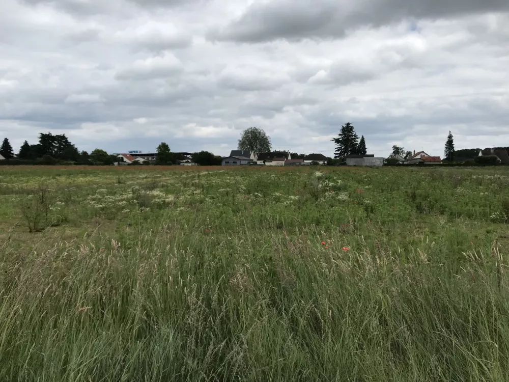 Image du terrain Terrain à bâtir de 532 m² à SAINT-PERE-SUR-LOIRE (45)