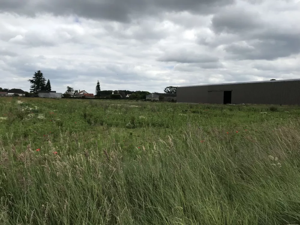 Image du terrain Terrain à bâtir de 555 m² à SAINT-PERE-SUR-LOIRE (45)