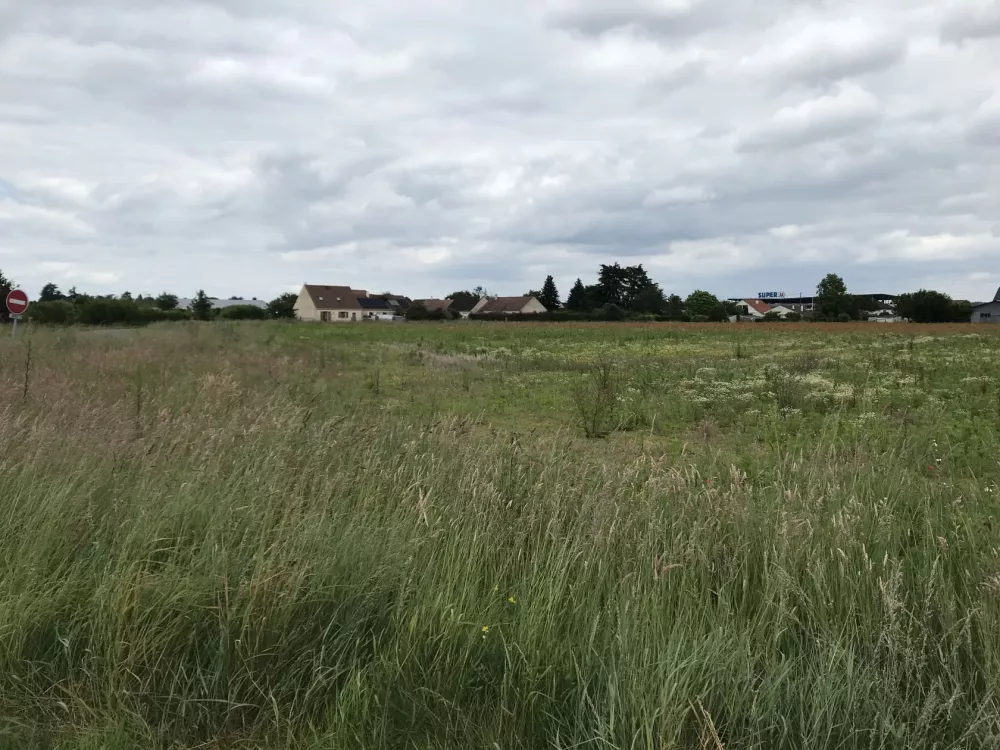 Image du terrain Terrain à bâtir de 529 m² à SAINT-PERE-SUR-LOIRE (45)