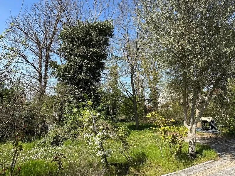 Image du modèle de maison lt-32312-CAPI FRANCE-428_3.webp