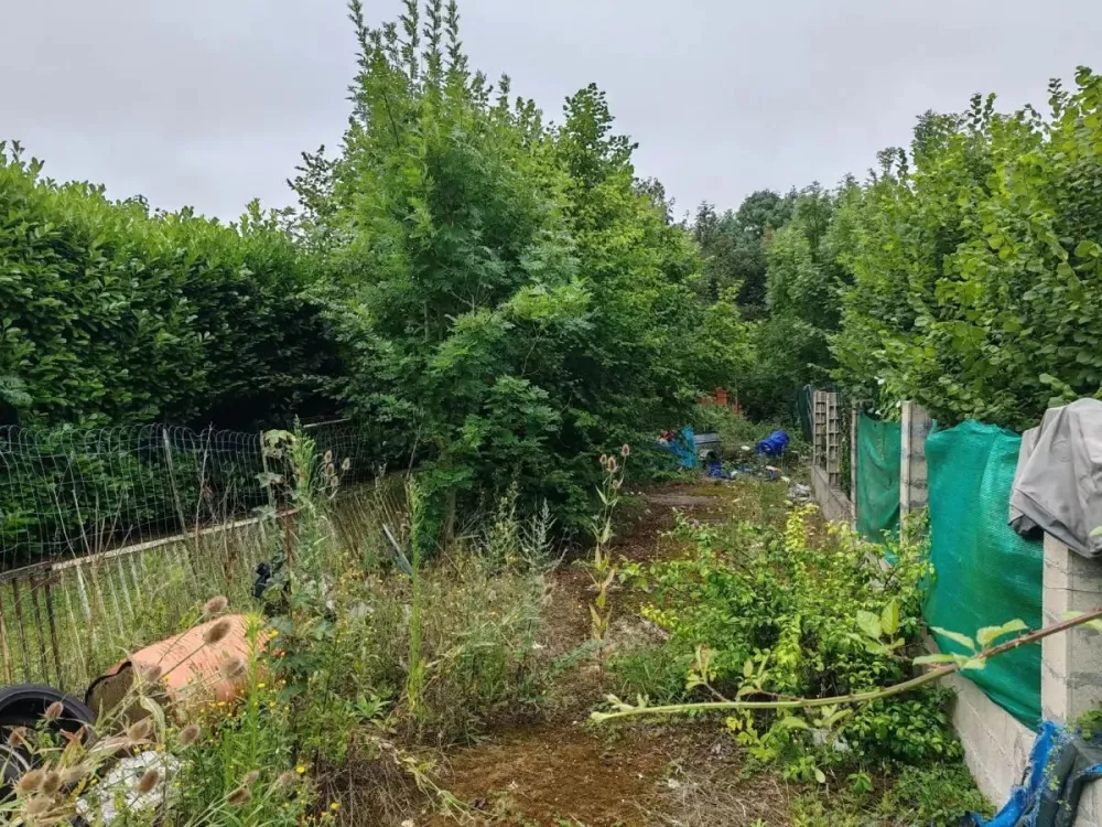 Image du modèle de maison lt-32302-SAFTI-270_1.webp