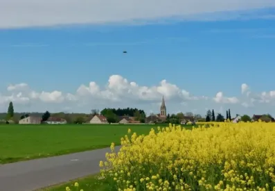 Image du modèle de maison 1000044031 RECADRE