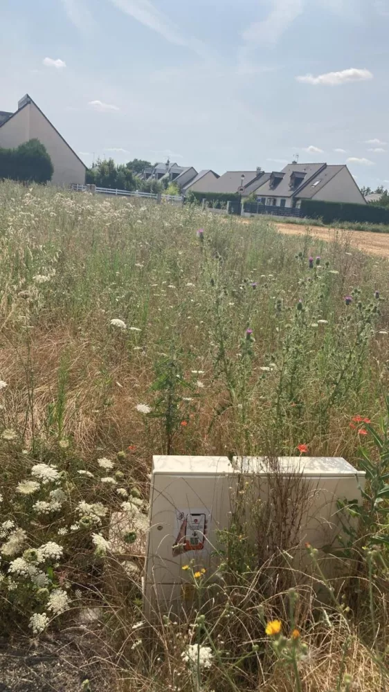 Image du modèle de maison lot 1