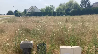 Image du modèle de maison lot 4