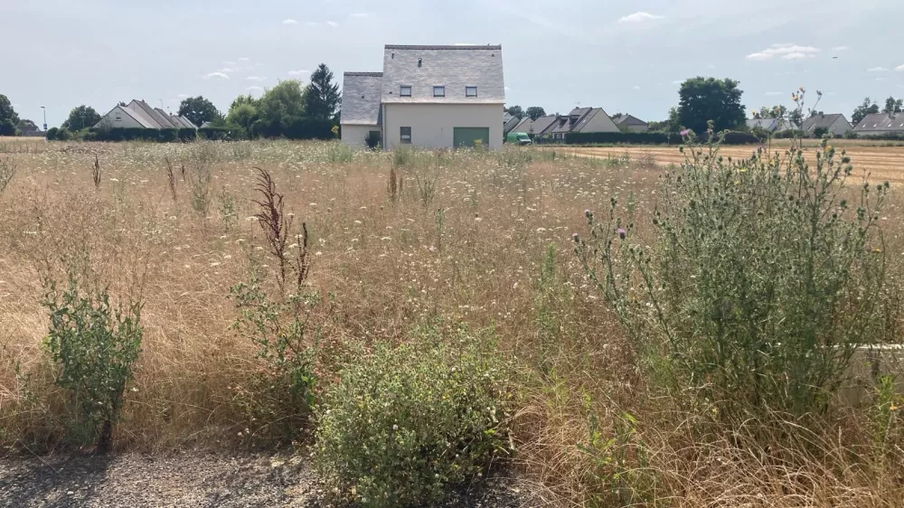 Image du modèle de maison lot 12