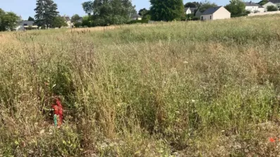 Image du modèle de maison 24