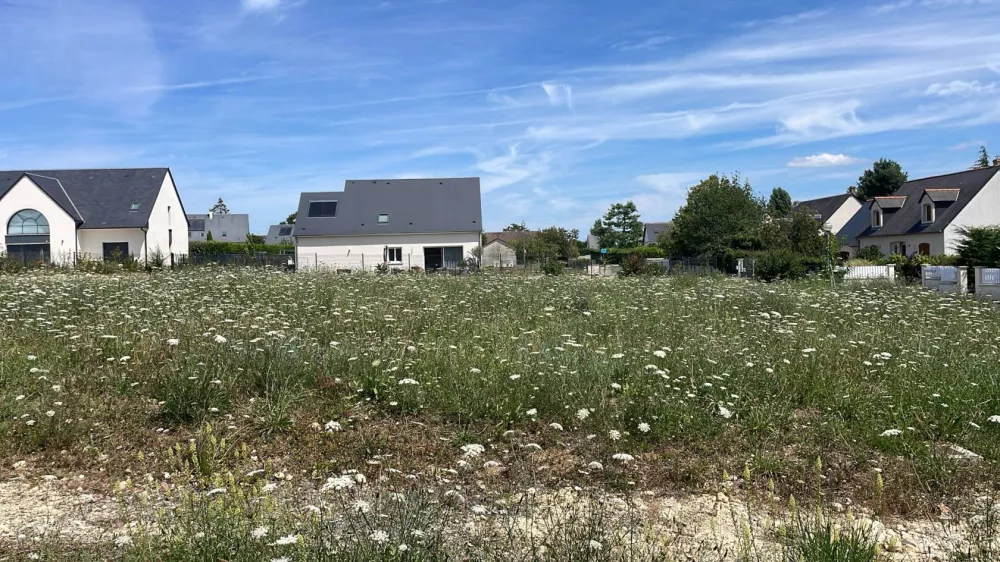 Image du modèle de maison 5