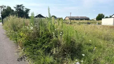 Image du modèle de maison 2