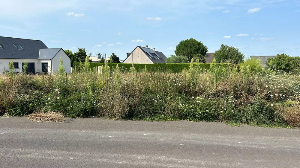 Image du modèle de maison 3 4