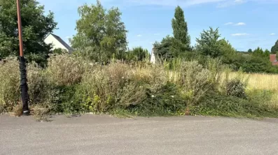 Image du modèle de maison 8