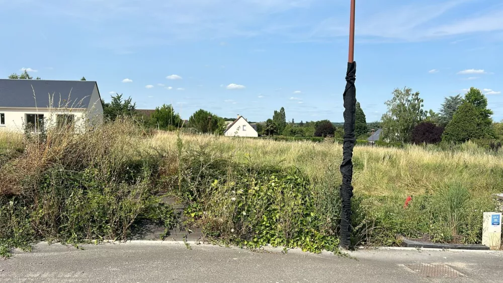 Image du modèle de maison 20
